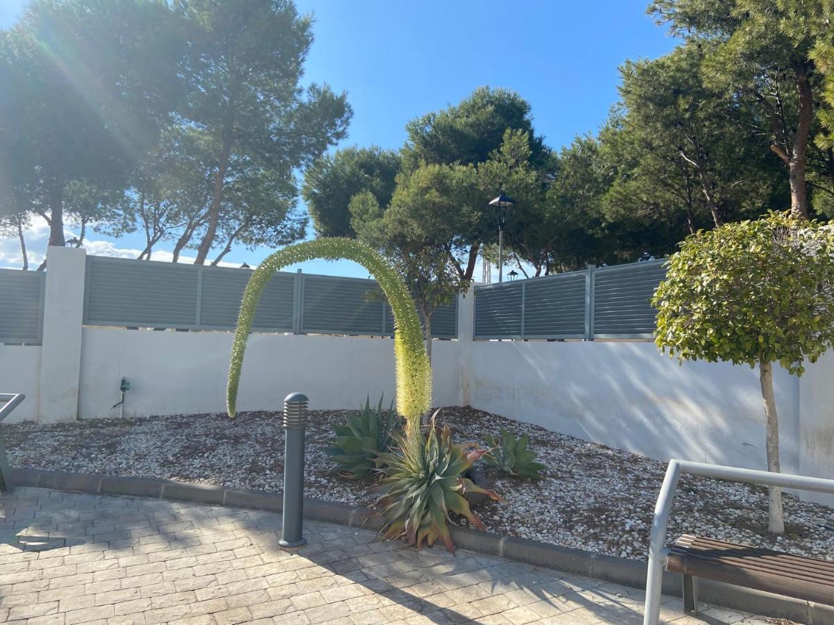 Paraiso Pinar De Garrucha Εξωτερικό φωτογραφία