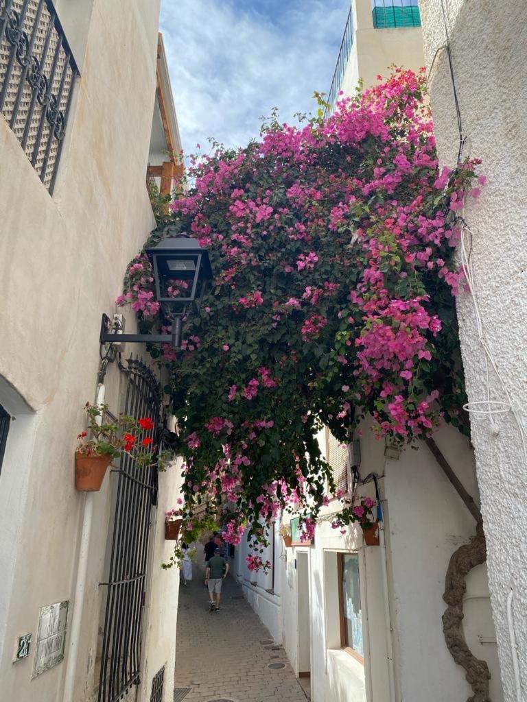 Paraiso Pinar De Garrucha Εξωτερικό φωτογραφία
