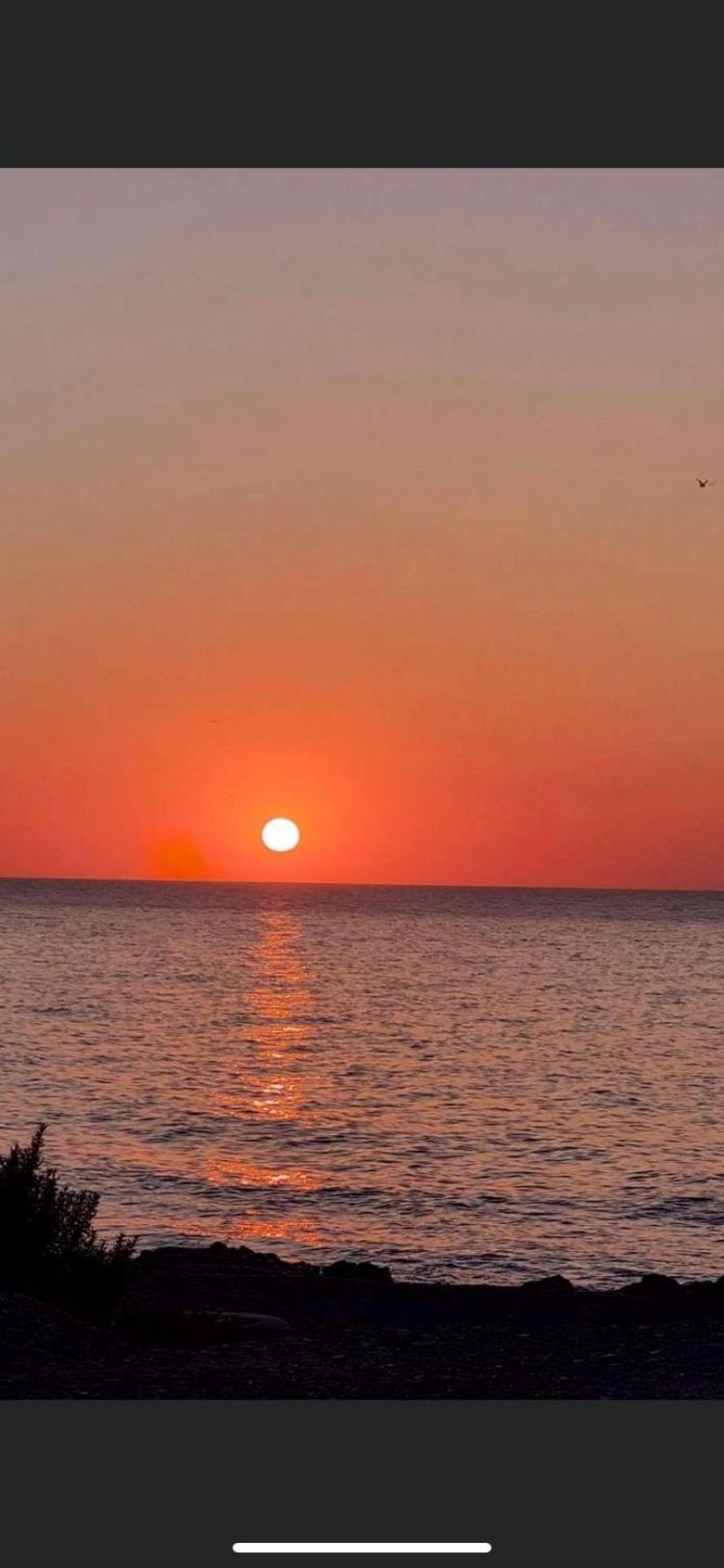Paraiso Pinar De Garrucha Εξωτερικό φωτογραφία